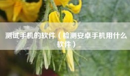 测试手机的软件（检测安卓手机用什么软件）
