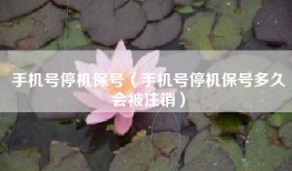 手机号停机保号（手机号停机保号多久会被注销）