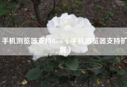 手机浏览器支持flash（手机浏览器支持扩展）
