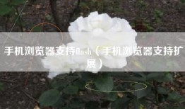 手机浏览器支持flash（手机浏览器支持扩展）