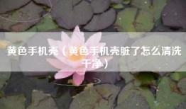 黄色手机壳（黄色手机壳脏了怎么清洗干净）