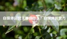自媒体运营主要做什么？自媒体运营方案