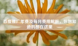 百度推广年费及每月费用解析，你想知道的都在这里