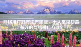 网络推广好方法有哪些，十大常见却最有效的网络推广方式？