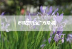市场营销推广方案5篇