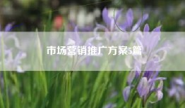 市场营销推广方案5篇
