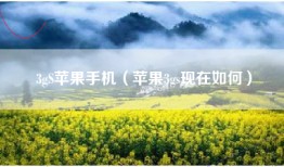 3gS苹果手机（苹果3gs现在如何）