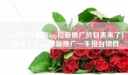 2024年4月最新app拉新推广价目表来了！盘点十个app拉新推广一手接台项目