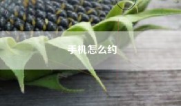 手机怎么约