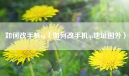 如何改手机ip（如何改手机ip地址国外）