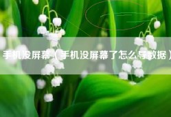 手机没屏幕（手机没屏幕了怎么导数据）
