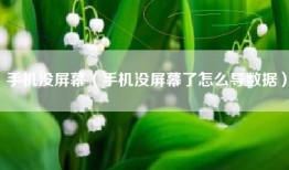 手机没屏幕（手机没屏幕了怎么导数据）