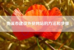 贵溪市建设外贸网站的方法和步骤