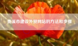 贵溪市建设外贸网站的方法和步骤