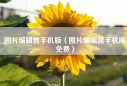 图片编辑器手机版（图片编辑器手机版免费）
