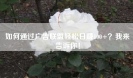 如何通过广告联盟轻松日赚100+？我来告诉你！