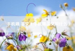 手机端 英文（手机端英文叫什么）