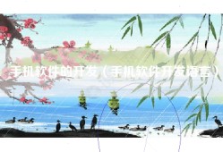 手机软件的开发（手机软件开发语言）