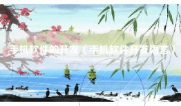 手机软件的开发（手机软件开发语言）