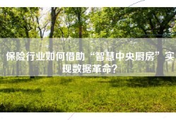 保险行业如何借助“智慧中央厨房”实现数据革命？