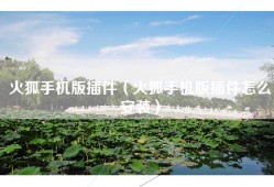 火狐手机版插件（火狐手机版插件怎么安装）