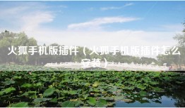 火狐手机版插件（火狐手机版插件怎么安装）