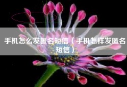 手机怎么发匿名短信（手机怎样发匿名短信）
