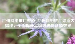 广州网络推广渠道_广州网络推广渠道大揭秘，全面提升品牌曝光与营销效果