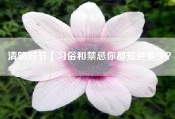 清明时节丨习俗和禁忌你都知道多少？