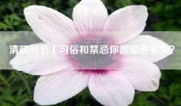 清明时节丨习俗和禁忌你都知道多少？