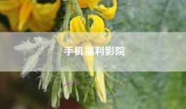 手机福利影院