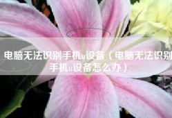 电脑无法识别手机u设备（电脑无法识别手机u设备怎么办）