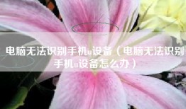 电脑无法识别手机u设备（电脑无法识别手机u设备怎么办）