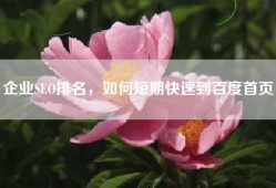 企业SEO排名，如何短期快速到百度首页！
