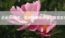 企业SEO排名，如何短期快速到百度首页！