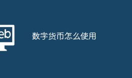 数字货币怎么使用