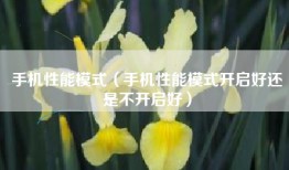 手机性能模式（手机性能模式开启好还是不开启好）