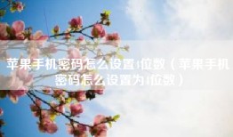 苹果手机密码怎么设置4位数（苹果手机密码怎么设置为4位数）