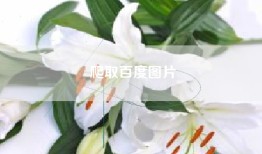 爬取百度图片