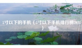 5寸以下的手机（5寸以下手机排行榜2023）