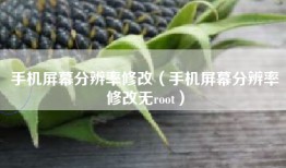 手机屏幕分辨率修改（手机屏幕分辨率修改无root）