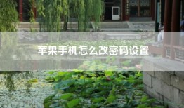 苹果手机怎么改密码设置