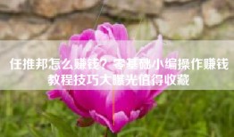任推邦怎么赚钱？零基础小编操作赚钱教程技巧大曝光值得收藏