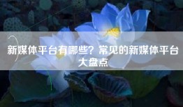 新媒体平台有哪些？常见的新媒体平台大盘点