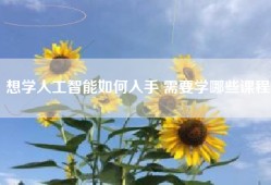 想学人工智能如何入手 需要学哪些课程