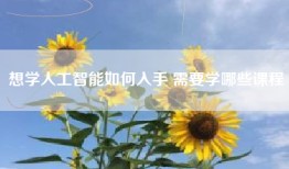 想学人工智能如何入手 需要学哪些课程