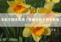 手机不用手机壳（苹果手机不用手机壳）