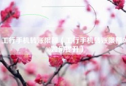工行手机转账限额（工行手机转账限额5000如何提升）