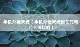 手机外接天线（手机外接天线接在充电口上可以吗）
