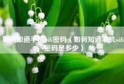 如何知道手机wifi密码（如何知道手机wifi密码是多少）